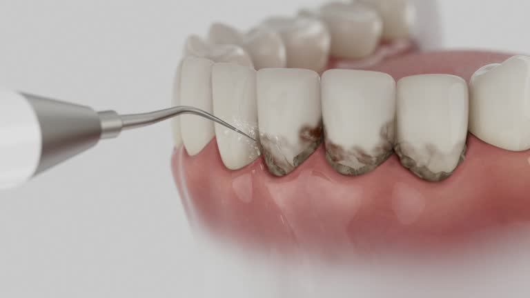 Reliable Dental contractor in Barrackville, WV by Dentist Open Now